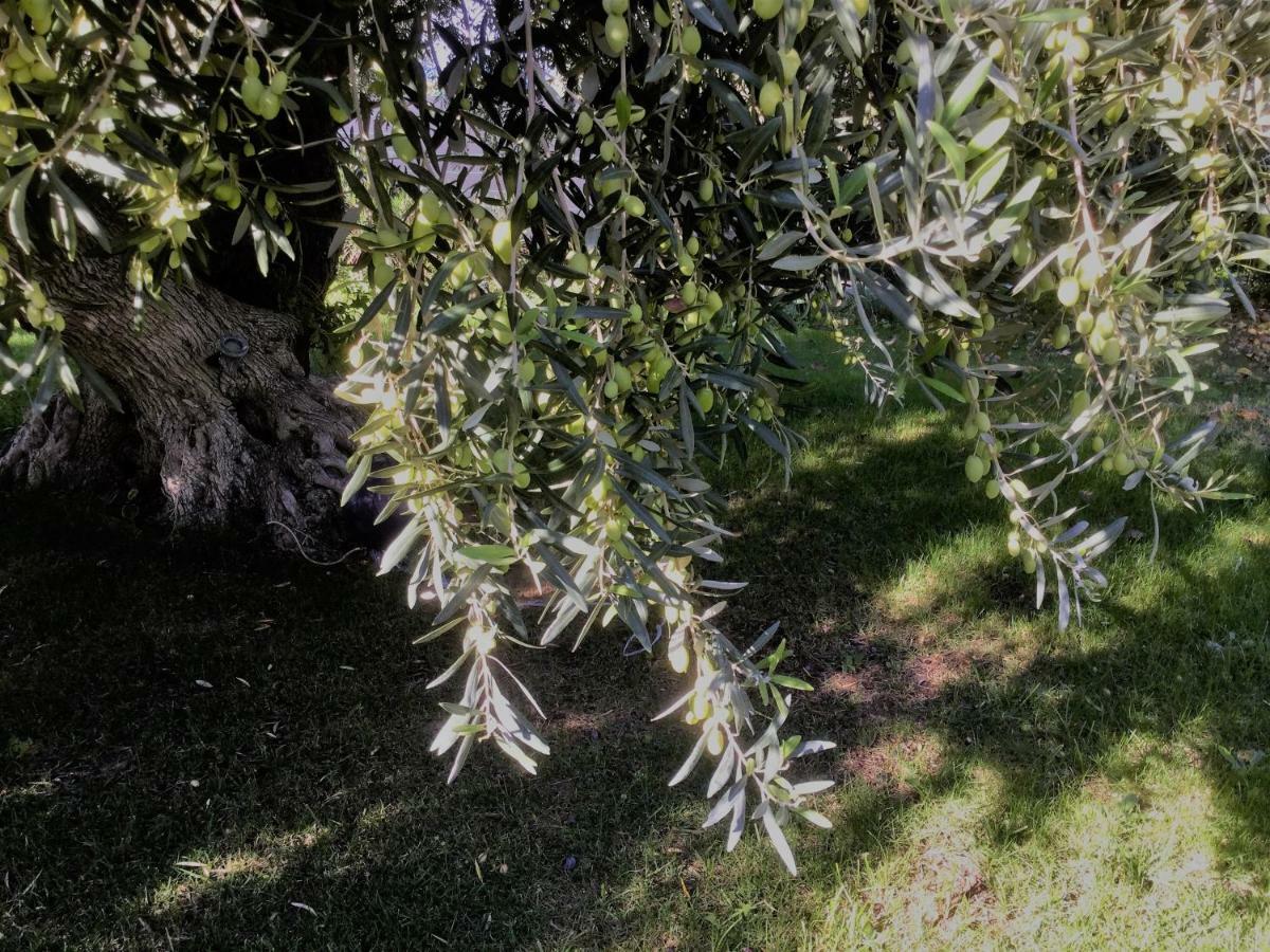 Il Dono Di Atena Cefalù Eksteriør bilde